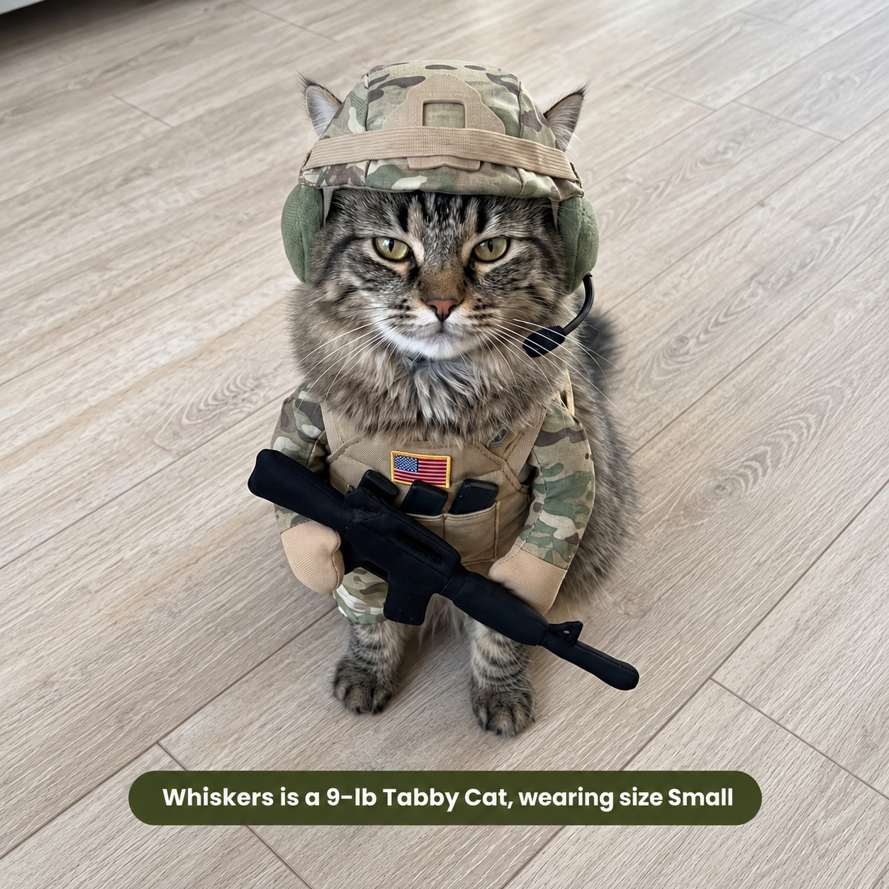 Kitty Soldier Outfit